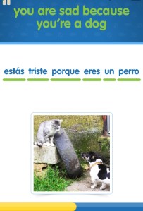 Katz und Hund bei CatSpanish