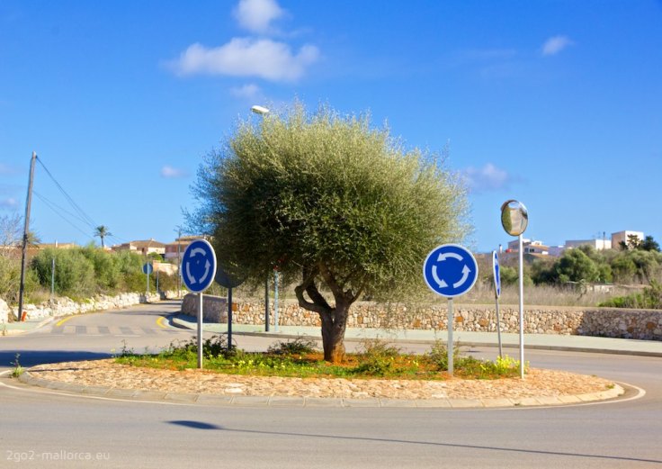 Baum im Kreisverkehr