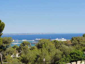 Meerblick Castell de Bellver