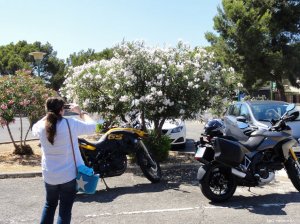 BMW F800GS und Ducati Multistrada