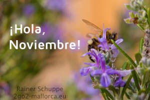 November auf Mallorca