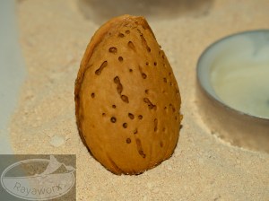 Mandel in Schale ohne Schutzhülle