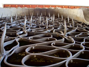 Deutliche Warnung an Einbrecher - Fenstergitter in Sóller