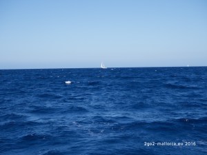 segelboot mallorca meer wind
