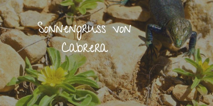 sonnengruss-cabrera-mallorca
