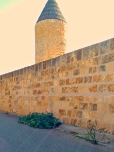 Steinmauer, Mühle, Gurke im Gegenlicht