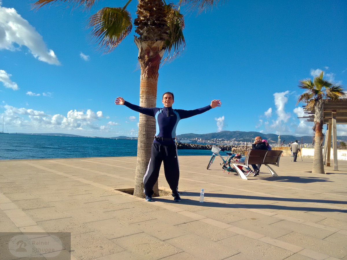 Sonne, Palme, Meer - Palma ist ein grossartiges Laufrevier