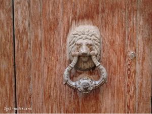 Türklopfer Leo in Sóller