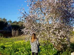 Baum Wiese Mallorca Mandelblüte