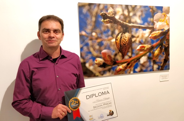 Herzmandel Foto Mandelbaum Santanyí