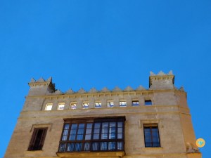 Palma Nightwalk Krokodil