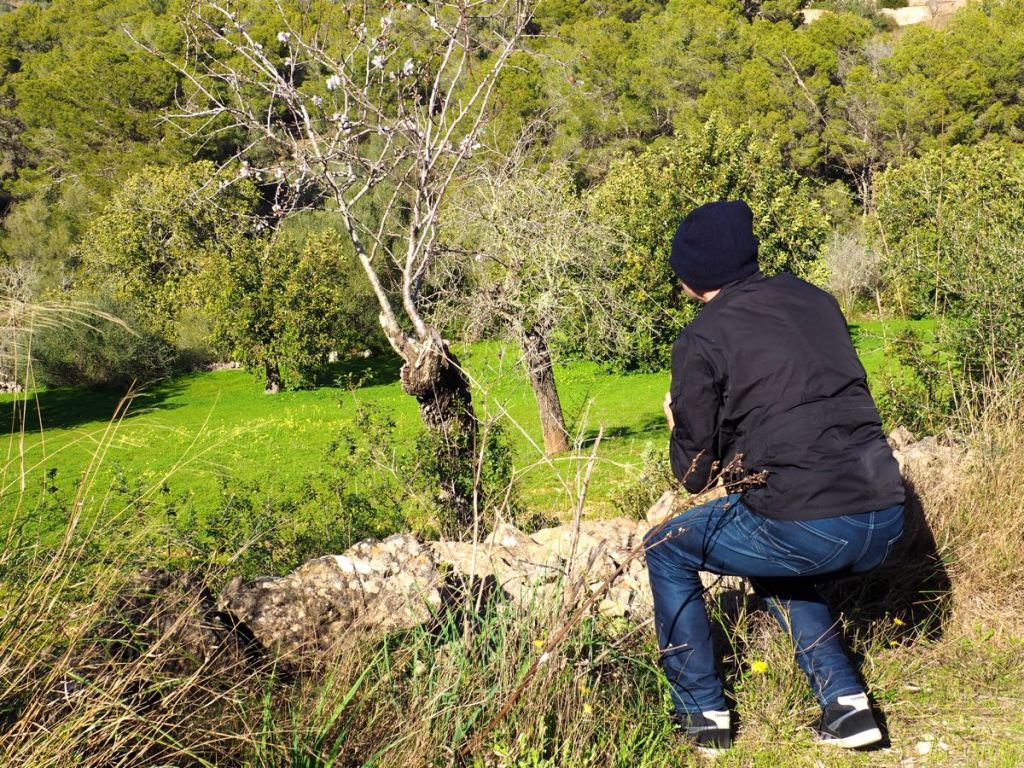 Mandelblüten Fotojagd