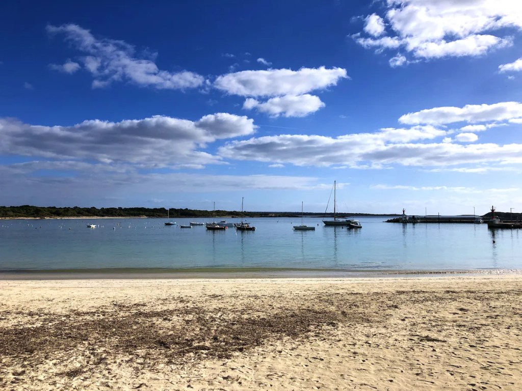 Colònia Sant Jordi • Playa Port