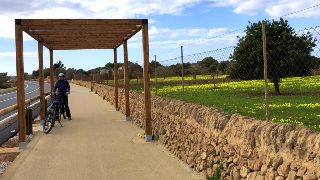 möglicher Schattenspender Radweg Ses Salines