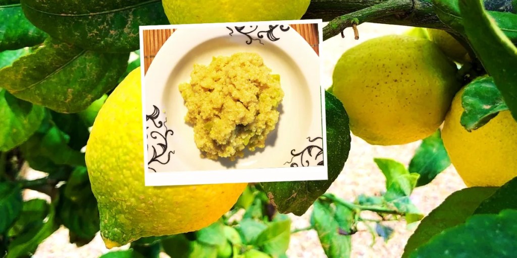 Blogillustration Quinotto mit Zitrone