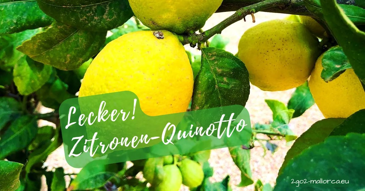 Blogillustration Zitronen Quinotto