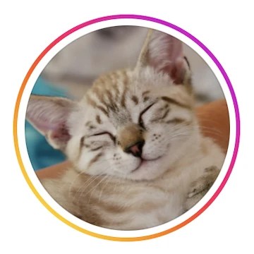 CFO Mando @ Instagram