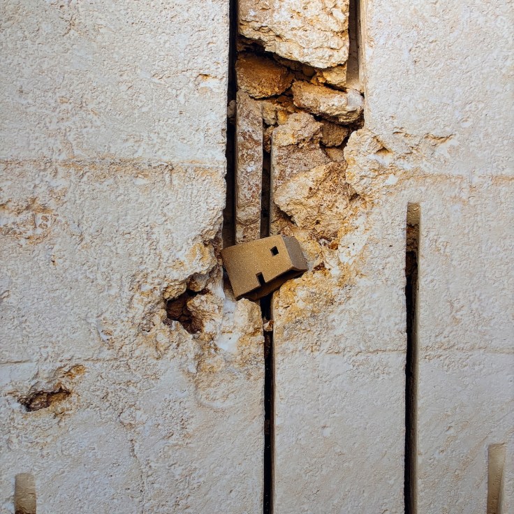 Teilansicht Poster DOMUS von Irene Forteza