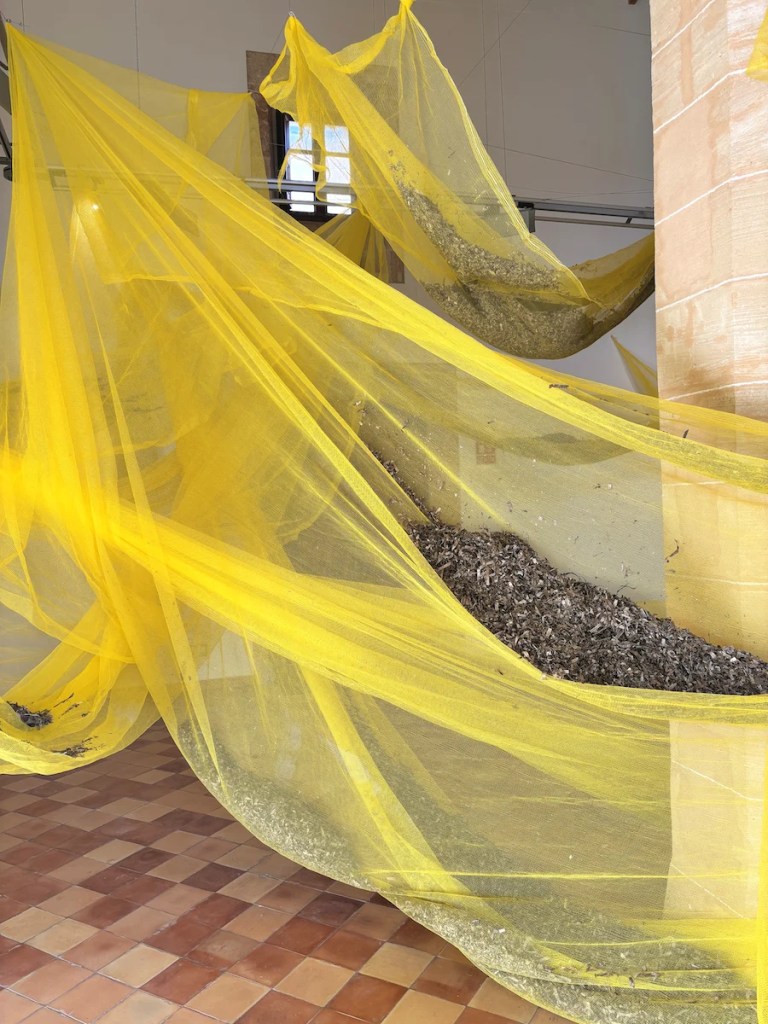 Posidonia / Neptungras in 'Mediterraneo' von Mercedes Balle AN25